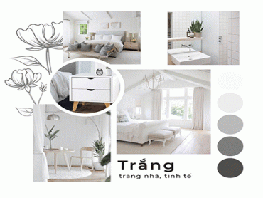 Bật Mí Bí Mật Màu Sơn Trắng Trong Decor Thiết Kế Trang Trí Nội Thất
